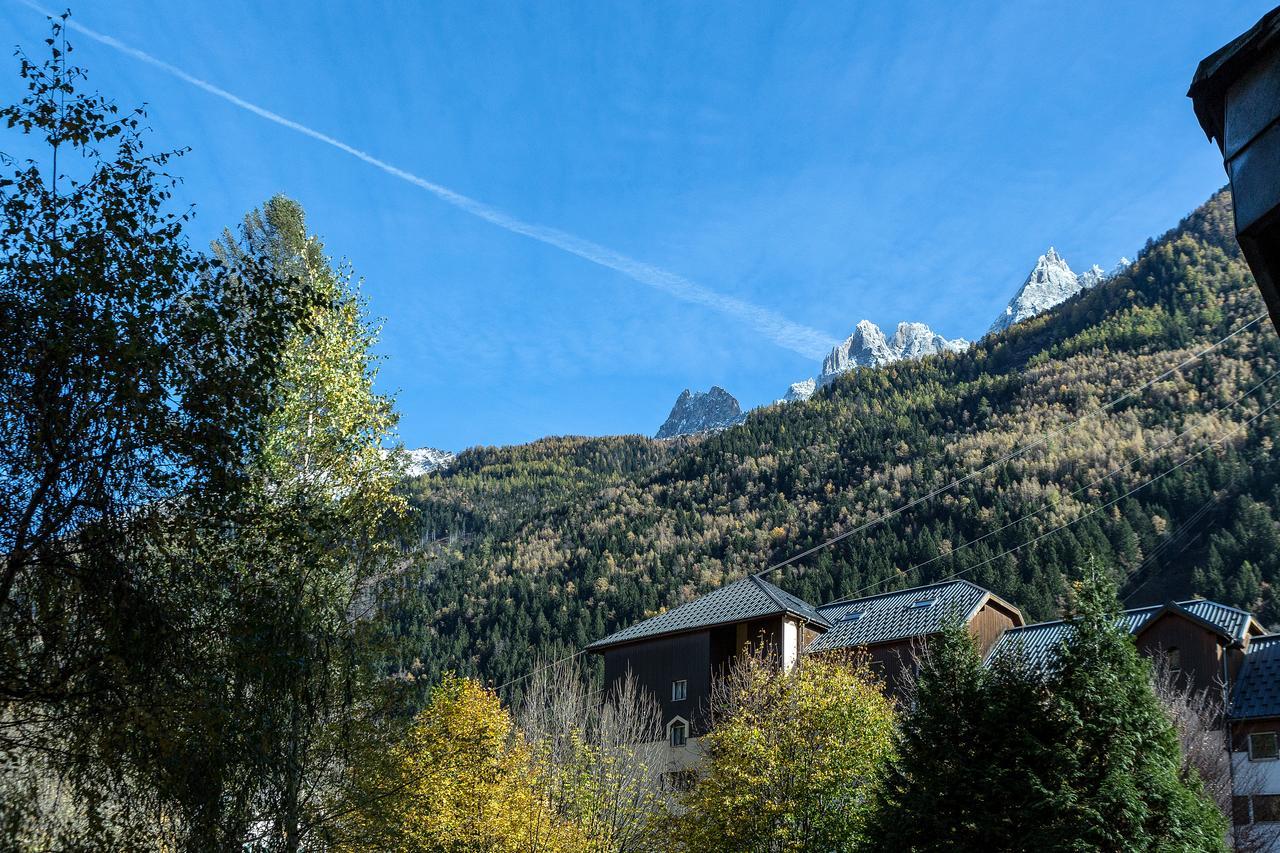 Apartment Chamois Blanc 1 - Central Chamonix Haven Экстерьер фото